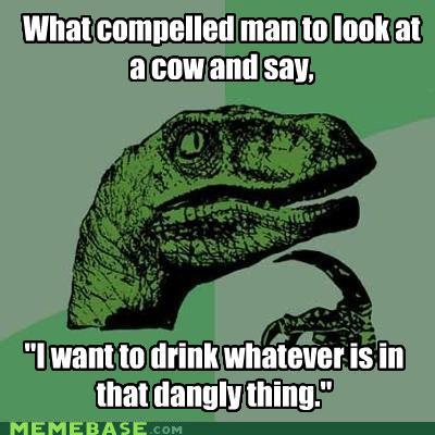 Funny and Geeky Cool Pics-memes-what-compelled-man-look-cow-say.jpg