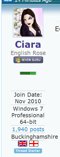 Reputation and Badges [5]-guru.png