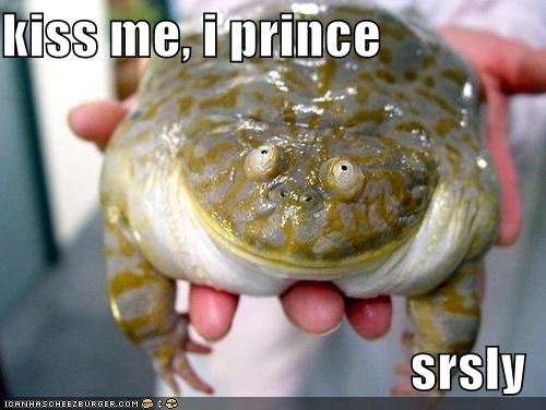 Funny and Geeky Cool Pics-funny-pictures-frog-prince-kiss.jpg