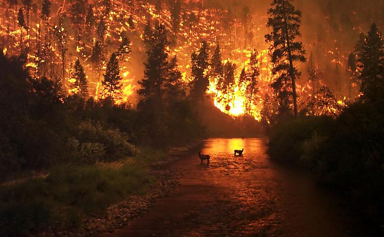 Incredible Pics Thread-wildfire.jpg
