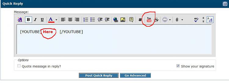 Posting a Youtube video to the forum-youtube_insert_here.jpg