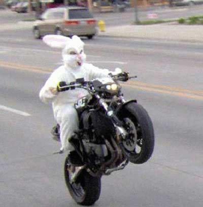 Happy Easter-easter-bunny-motorcycle.jpg