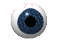 Reputation and Badges [5]-eyeball.gif
