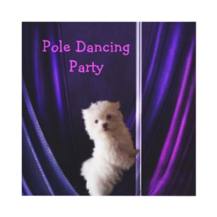 Today [7]-disco_party_maltese_dog_pole_dancing_party_invitation-p1613626359975366782dzjr_310.jpg