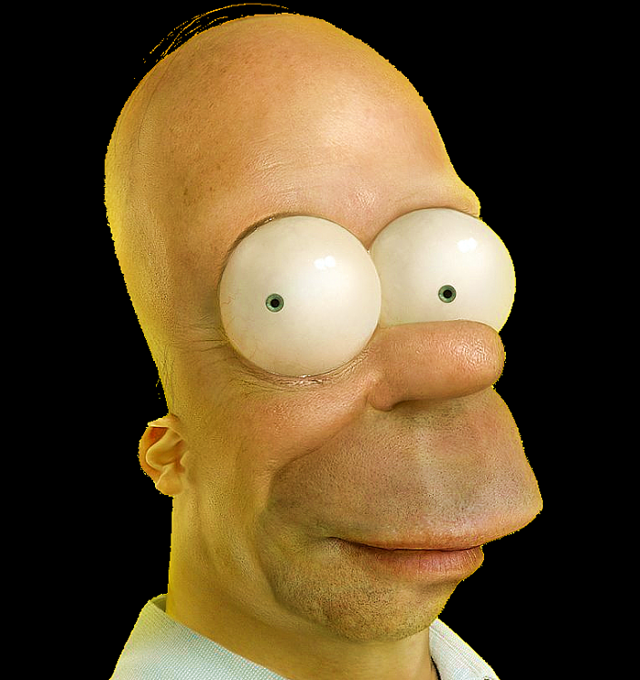 Funny and Geeky Cool Pics-homer-real.png