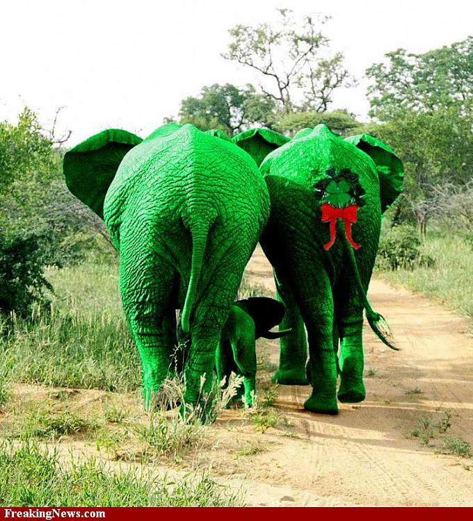 Jokes Thread 2-st-patrick-s-day-green-elephants-38854.jpg