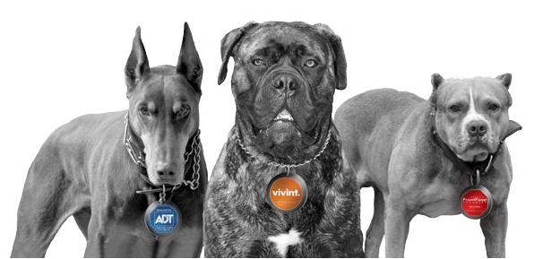 Home Security Shootout: Which Watchdog is Leader of the Pack?-security.png