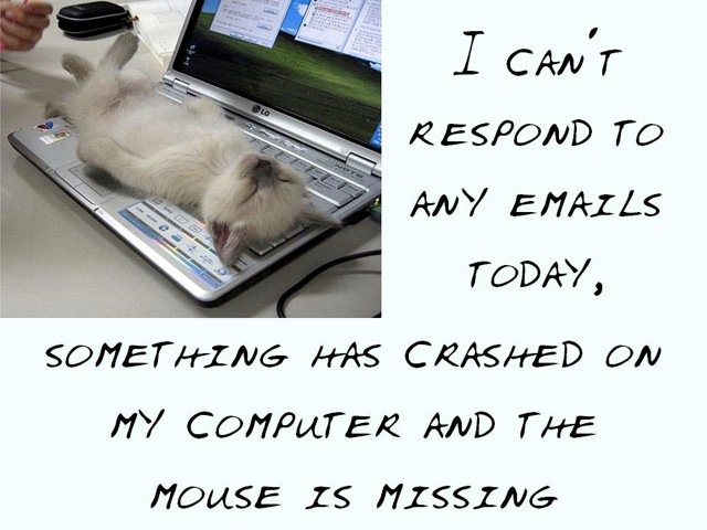 Funny and Geeky Cool Pics [2]-cat-crashing-pc.jpg