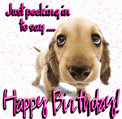 Happy Birthday to A Guy !-birthdaydog2.gif