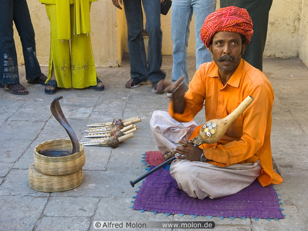 Today [8]-07-20cobra-20and-20snake-20charmer.jpg