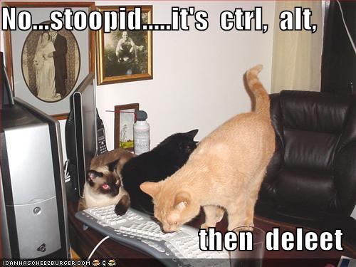 Funny and Geeky Cool Pics-funny-pictures-cats-try-restart-computer.jpg
