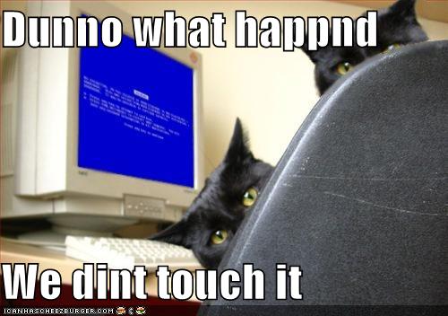 Funny and Geeky Cool Pics-funny-pictures-cats-computer-blue-screen-death.jpg