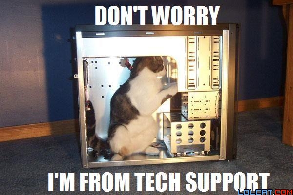 Funny and Geeky Cool Pics-pctechsupportcat.jpg