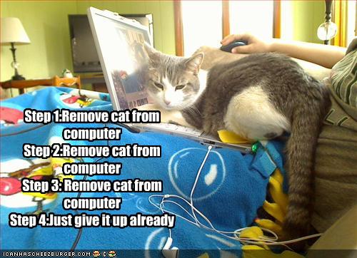 Funny and Geeky Cool Pics-funny-pictures-cat-your-computer.jpg