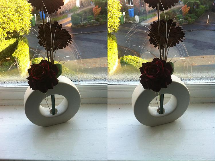 Funny and Geeky Cool Pics [2]-stereoscopic-window-flower.jpg