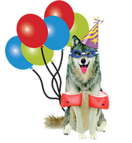 Happy Birthday to The Howling Wolves-birthday_wolf.jpg