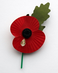 In Memoriam-wootton-bassett-remembrance-poppies-get-crystal-tears.jpg