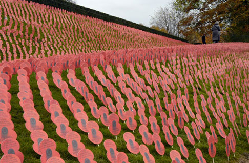 Well done Forums  11 / 11 / 11  Remberance Day-flandersfield.jpg