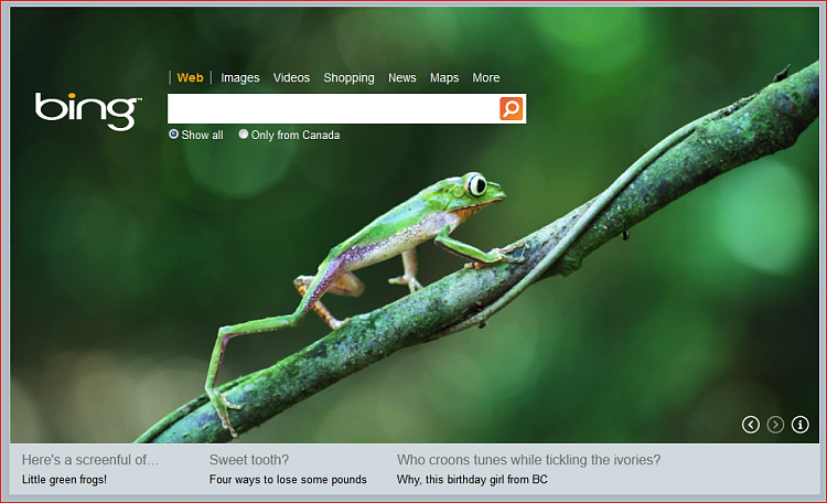 Take a look at Bing's theme today 16 nov 2011-bing.png