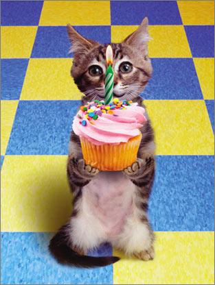 Happy Birthday to xxxdannyxxx!-bdaycat1.jpg