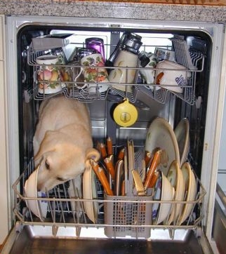 Funny and Geeky Cool Pics [2]-dishwasher4lu.jpg