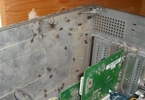 Funny and Geeky Cool Pics [2]-job-fails-i-think-my-computer-has-bug-twelve.jpg