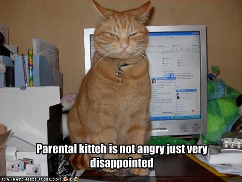 Funny and Geeky Cool Pics-funny-pictures-your-cat-disappointed-you.jpg