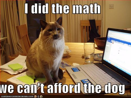 Funny and Geeky Cool Pics-funny-pictures-cat-did-math-you-cannot-afford-dog.jpg