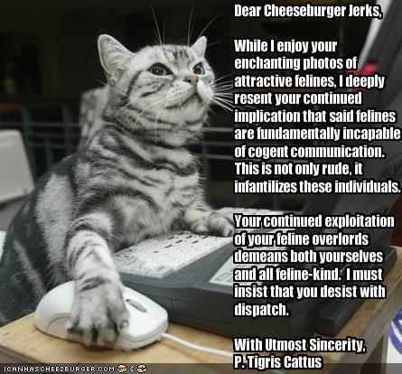 Funny and Geeky Cool Pics-funny-pictures-letter-very-intelligent-cat.jpg