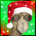 Christmas Avatars-dinesh-avatar.png