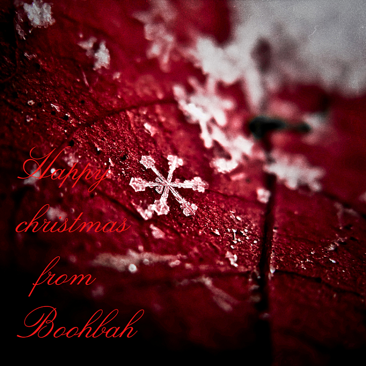 Merry Christmas...-push_away_the_darkness_by_baspunk.png