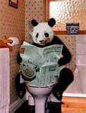 Today [8]-pandypotty.jpg