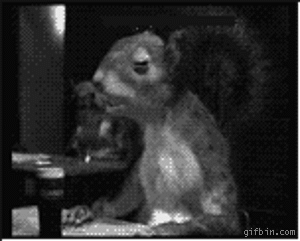 What annoys you?-1236162429_squirrel_drinking_guinness.gif