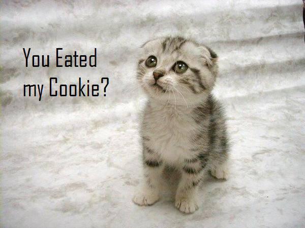 Funny and Geeky Cool Pics-cookie.jpg