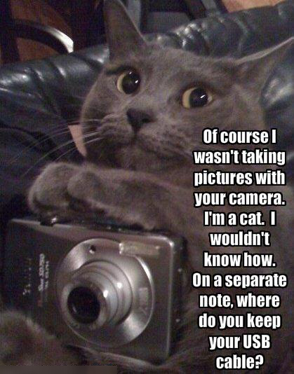 Funny and Geeky Cool Pics-funny-pictures-cat-denies-taking-photos.jpg