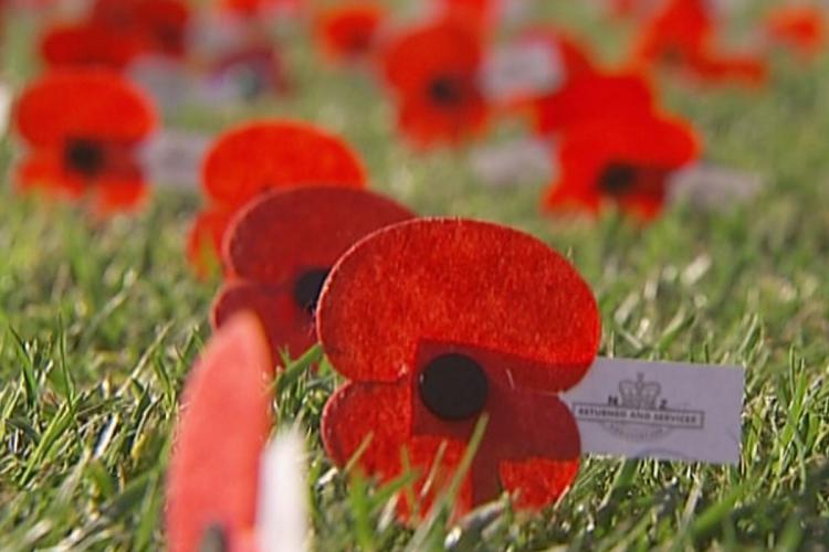 Anzac Day, lest we forget.-poppy-anzac.jpg