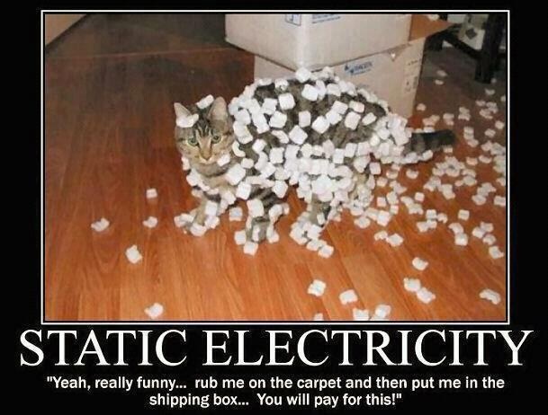 Show us your cats-static-cat.jpg