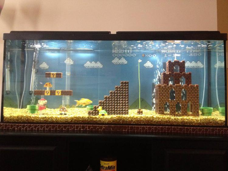 Funny and Geeky Cool Pics [2]-0074e6f84c56ffd4048ebaaba66913b5-super-mario-aquarium.jpg