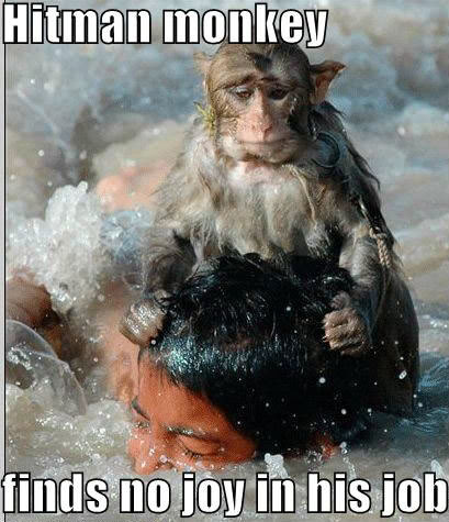 Funny and Geeky Cool Pics [2]-monkey.jpg