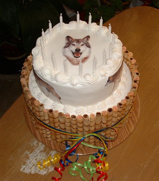 Happy Birthday to &quot;The Howling Wolves&quot;-wolf_cake_2_small.jpeg