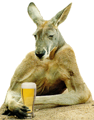 Great picture(s)-kangaroo-beer.gif