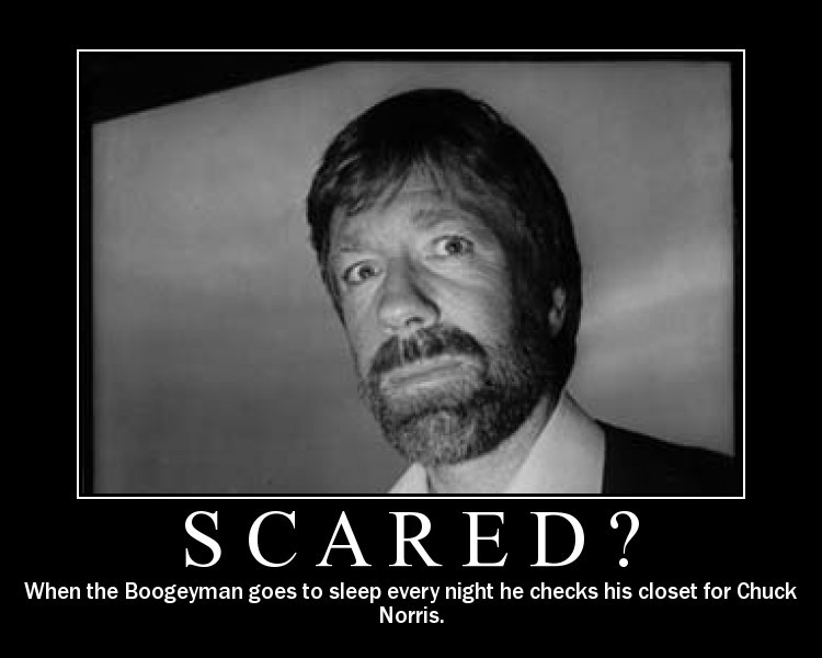 Funny and Geeky Cool Pics [3]-funny-chuck-norris.jpg