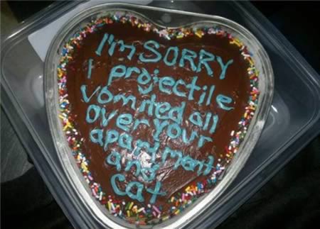 Funny and Geeky Cool Pics [3]-a98348_apology_5-cake.jpg