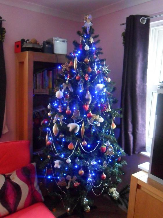 Show us your tree!-sam_0909.jpg