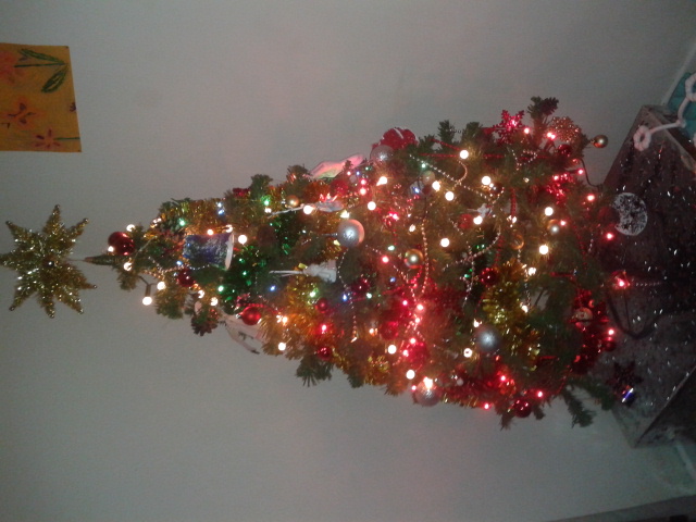 Show us your tree!-20121212_185147.jpg