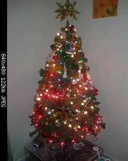 Show us your tree!-pedroc.jpg