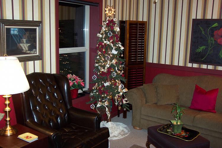 Show us your tree!-tight-spaces-christmas-tree-001.jpg