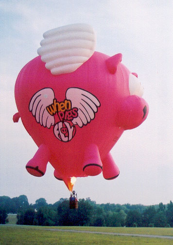 What does everybody do in their spare time-pigs_fly_p13.jpg