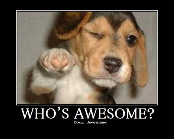 show us your dog-awesome.jpg
