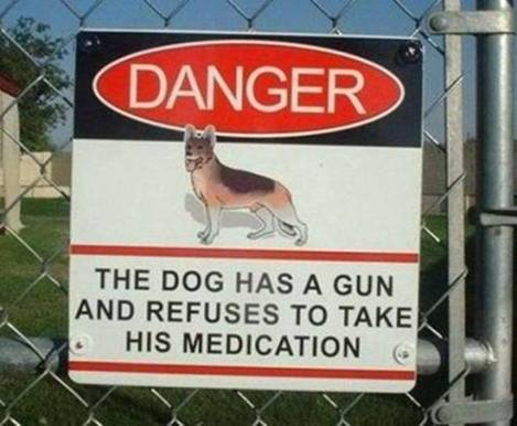 Funny and Geeky Cool Pics [3]-dog-gun.png